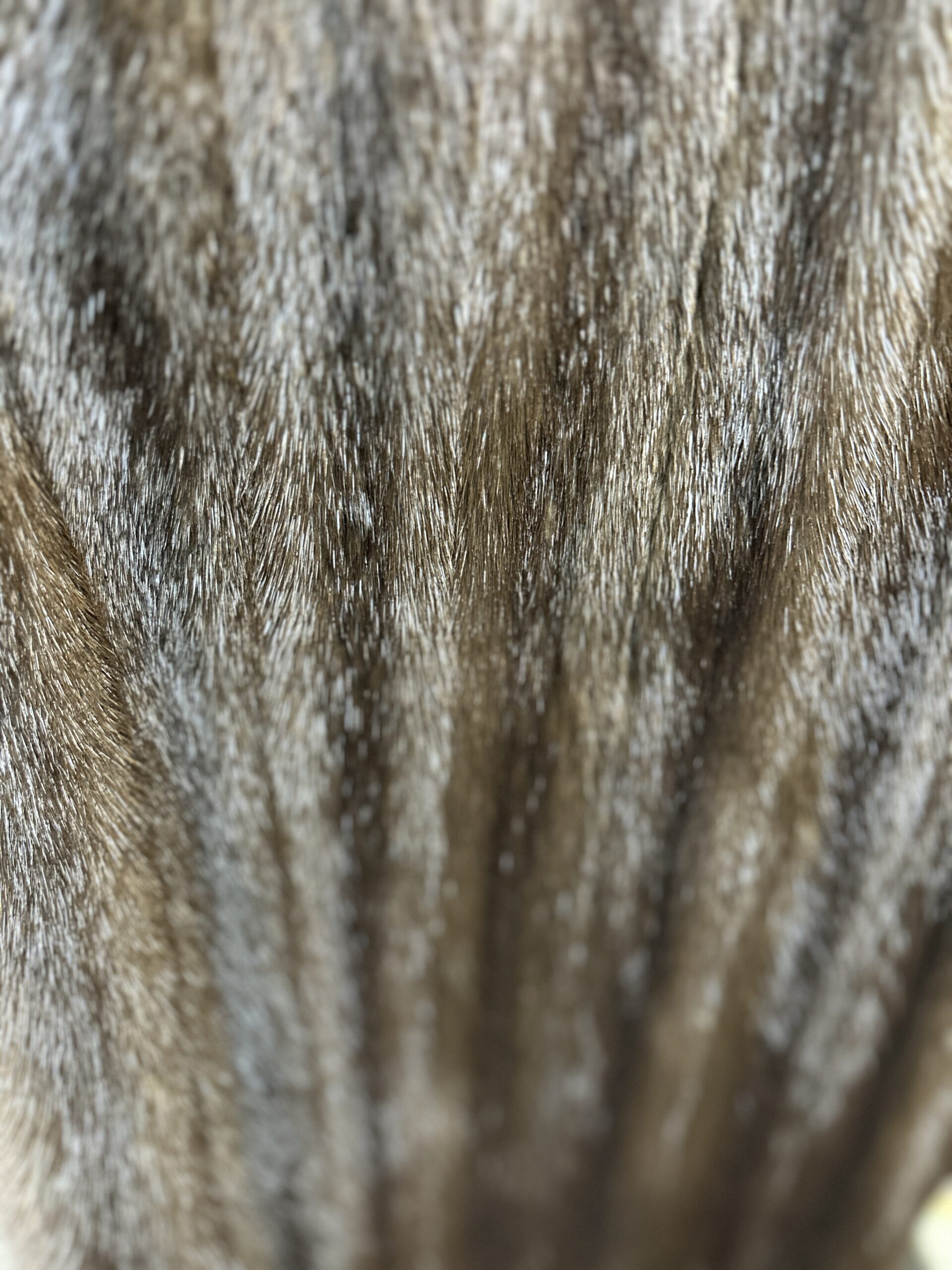 Full-length Mink Coat - Image 3
